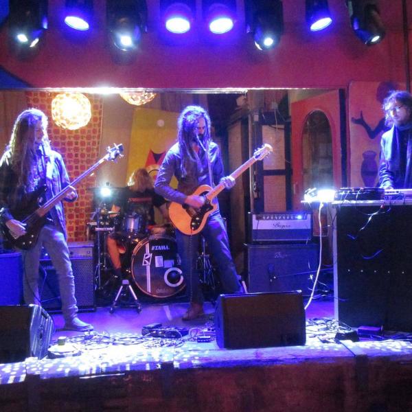 The Nealions